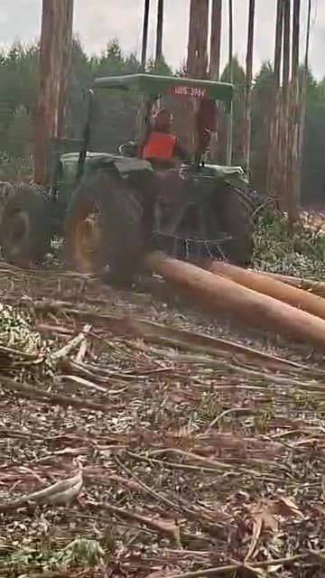 Tractor extracting logs through a clear-felled compartment